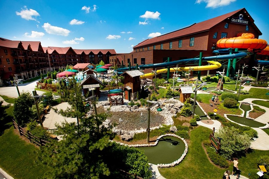 Wolf Lodge Gluch Group