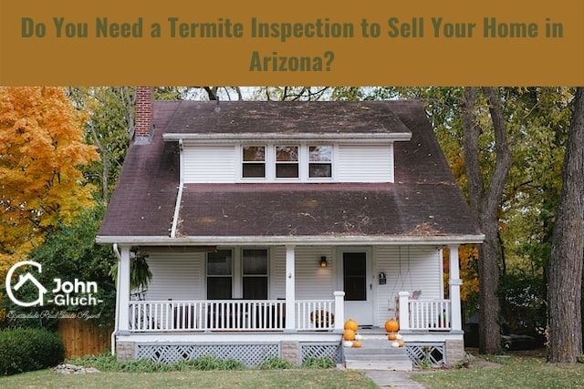 Termite inspection when selling your home in Arizona